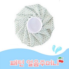 프리미엄 냉 찜질주머니 아이스팩 9인치, 그린스프레이, 1개