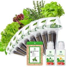 고메 허브 & 샐러드 씨앗 포드 키트 8 포드 (시드 바질/민트/백리향/로메인/버터 헤드/레드 & 그린 리프 포함) 양상추 씨앗 포드 키트 모든 수경법과 호환 가능, Basil