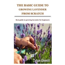 (영문도서) The Basic Guide to Growing Lavender from Scratch: Best guide to growing lavender for beginners Paperback, Independently Published, English, 9798466797862