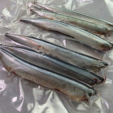 꽁치 구이 냉동 업소용 냉동꽁치 구이용 생선 갈치 미끼 조림용 선동 손질, 1개, 꽁치1kg(10~11마리)