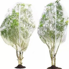 果樹防鳥防蟲網罩 網罩防蟲蚊帳, 口袋型加厚60目防蟲網 無拉鍊款 ,口袋型2.5米寬2米高帶束口繩