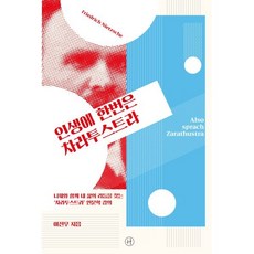 인생에 한번은 차라투스트라 (큰글자도서) : 니체와 함께 내 삶의 리듬을 찾는 ‘차라투스트라’ 인문학 강의, 이진우 저, 휴머니스트