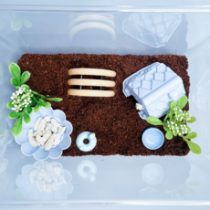 예쁘게 달팽이 기르기 블루 에디션 키우기 세트, 1세트