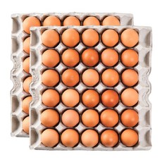 [더싱싱] HACCP 구운계란 구운란 대란, 60구, 1개