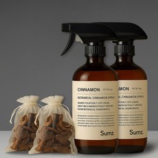 숨즈 계피 스프레이 대용량 + 시나몬큐브, 2개, 500ml