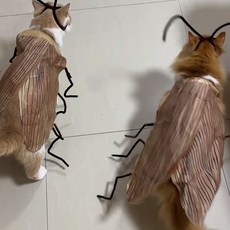 DFMEI 蟑螂火辣辣貓咪衣服不織布扭扭棒手工DIY材料包創意搞怪道具, 1個, 貓咪蟑螂衣服diy材料包