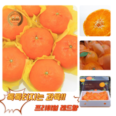 [굿피플] 레드향 레드향선물세트 한라봉 황금향 과일선물세트 [레드향 3kg 중대과 선물세트], 1박스