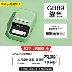 NIIMBOT B21Pro 標籤機 高解析度 食品標籤 姓名貼紙機, 1個, GB89標籤機B21Pro綠300dpi,記得加購貼紙