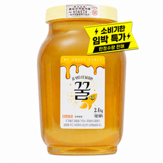 꿈보다 더 달콤한 사양벌꿀, 1개, 2.4kg