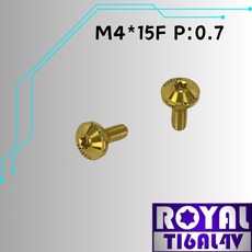 ROYAL TIGALAY 飛碟頭螺絲 64鈦合金螺絲 土豪金, 1個