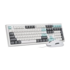 darkFlash 유선 데스크탑 세트 DKM100 저소음 키스킨포함 USB 미스트화이트, darkFlash 유선 데스크탑 세트, DKM100 저