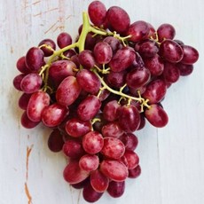 청담농수산 고당도 레드글로브 적포도, 1개, 4kg