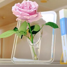 아크릴 액자 화병 투명 프레임 인테리어 꽃병