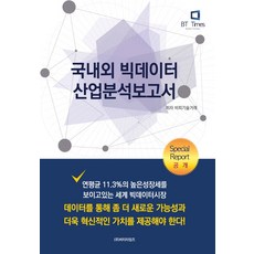 國內外大數據產業分析報告書, BP技術交易 著, BTimes