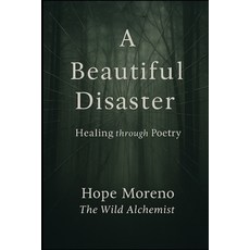 (영문도서)A Beautiful Disaster: Healing Through Poetry Paperback, Independently Published, English, 9798281651493