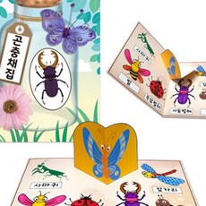 달빛M 곤충채집 책 북아트재료