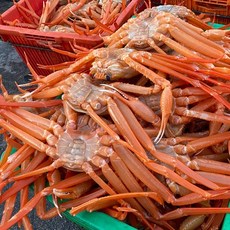 프리미엄 일억수산 선주직송 홍게 대게 품질보증 영덕 울진 포항 박달홍게 박달대게 산지직송 특대 3kg, 1개, [정품/프리미엄]연지홍게 3kg (9~11미)