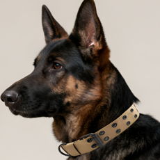 SABUDU 대형견 중형견 튼튼한 벨트 목줄, 1개, 튼튼한 베이지