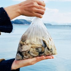 최상급 제철 생굴 깐굴 당일수확 초장증정, 1개, 1kg(실중량800g)