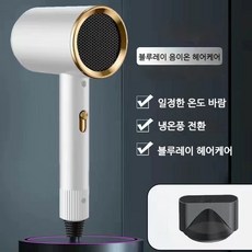 dulandQ 드라이기 가정용 대풍력 드라이기 음이온 헤어드라이어, 화이트