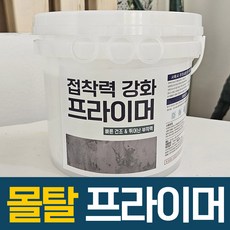 다용도 프라이머 고점도 고접착 오래된 베란다 시멘트에 전체적으로 바를때 접착력 높일때 하도제 젯소, 1개, 4L, 투명 프라이머