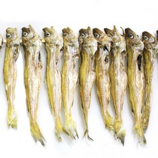 줄노가리 100급 20마리 대구 노가리 지방태 인기많은제품 쪽빛누리, 20개