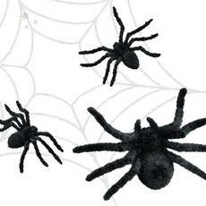 할로윈 파티 거미 장식 소품 리얼 곤충 모형 블랙 인테리어 데코 분위기