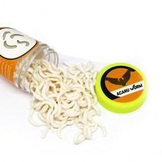 빙어 송어 산천어 가짜 미끼 송어웜 구더기 루어 송어용웜 집어제 밑밥 구더기웜, 1개