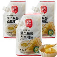 오늘좋은 토스트용 스프레드 500g, 3개