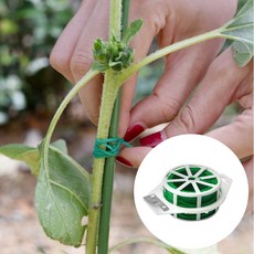 아트위브 식물 고정끈 원예용 지지대 케이블타이 바인딩 200m, 그린, 1개