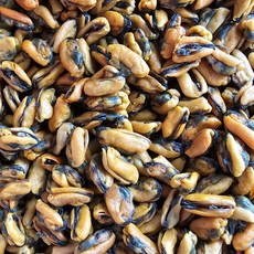 남해 건홍합 신선한 건조 홍합 국물요리, 300g