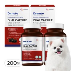 닥터뉴토 듀얼캡슐 강아지 눈 영양제 눈물자국 눈물냄새 두뇌 인지기능 치매예방 루테인 항산화, 2개, 눈/인지, 100정