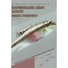(영문도서) Kafirnigani Gray Loach: From Novice to Expert. Comprehensive Aquarium Fish Guide Paperback, Independently Published, English, 9798398663945