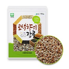 성현물산 국산 잡곡 수수, 1kg, 1개