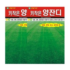 키작은 양잔디 씨앗 켄터키블루그라스 잔디 씨 정원 공원 묘소 운동장, 2개, 20g