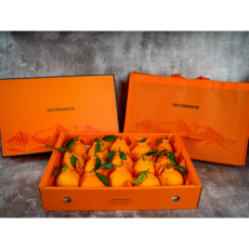 [고당도 과일] 프리미엄 제주 한라봉 로얄사이즈 대과, 1개, 5kg(12과~17과), 제주 한라봉 고급 선물세트