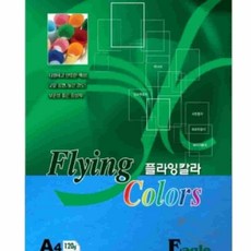 온지니 플라잉칼라A4 20매 120g E31 컬러지