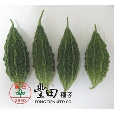【野菜部屋~】K19 山野小苦瓜種子 中包裝 生長快 產量高, 1包