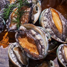 [전복누리] 완도 활전복 8-9마리 1kg(특대 선물용), 1개