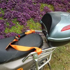 전동 오토바이 휠체어 안전벨트 보호대 낙상 방지, 1개, 오렌지 용접 안전벨트