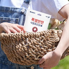 대일 폭염안전 식염포도당 휴대용 포도당, 30정, 8개