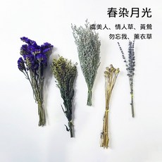 懶懶喵 造景花束 乾燥花 倉鼠籠 夏季除臭 花草造景包 自然零添加 天然花草 裝飾造景 免修剪, 1個, 春染月光, 70g