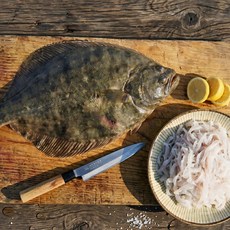 미주구리회 기름 물가자미회 막회 참가자미회, 1개, 참가지미 1kg(단품)