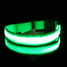 제임스마켓 LED 반려견 강아지 목줄 L 그린 발광목줄