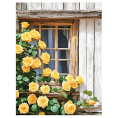 조이제이 36종 40x50 쉬운그림그리기 DIY 유화그리기세트 명화그리기, 004 장미, 1세트