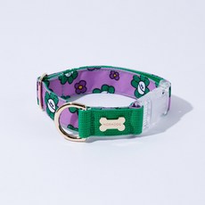 노라독 미스타크로바 목줄(중대형견용), 그린, 1개