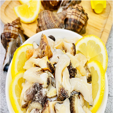 당일채취 자연산 손질 삐뚤이소라회1팩 당일손질해산물, 없음, 1개