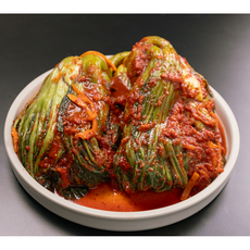 오감만찬 수입산 갓김치, 1박스, 5kg