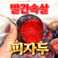 [자두왕] 2026년첫출하 빨간속살 꿀당도 피자두, 1박스, 1kg(대과)