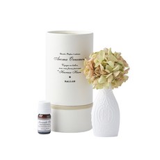 BALLON 日本 石膏球香 + 5ml精油組, 麝香葡萄, 森林秘密